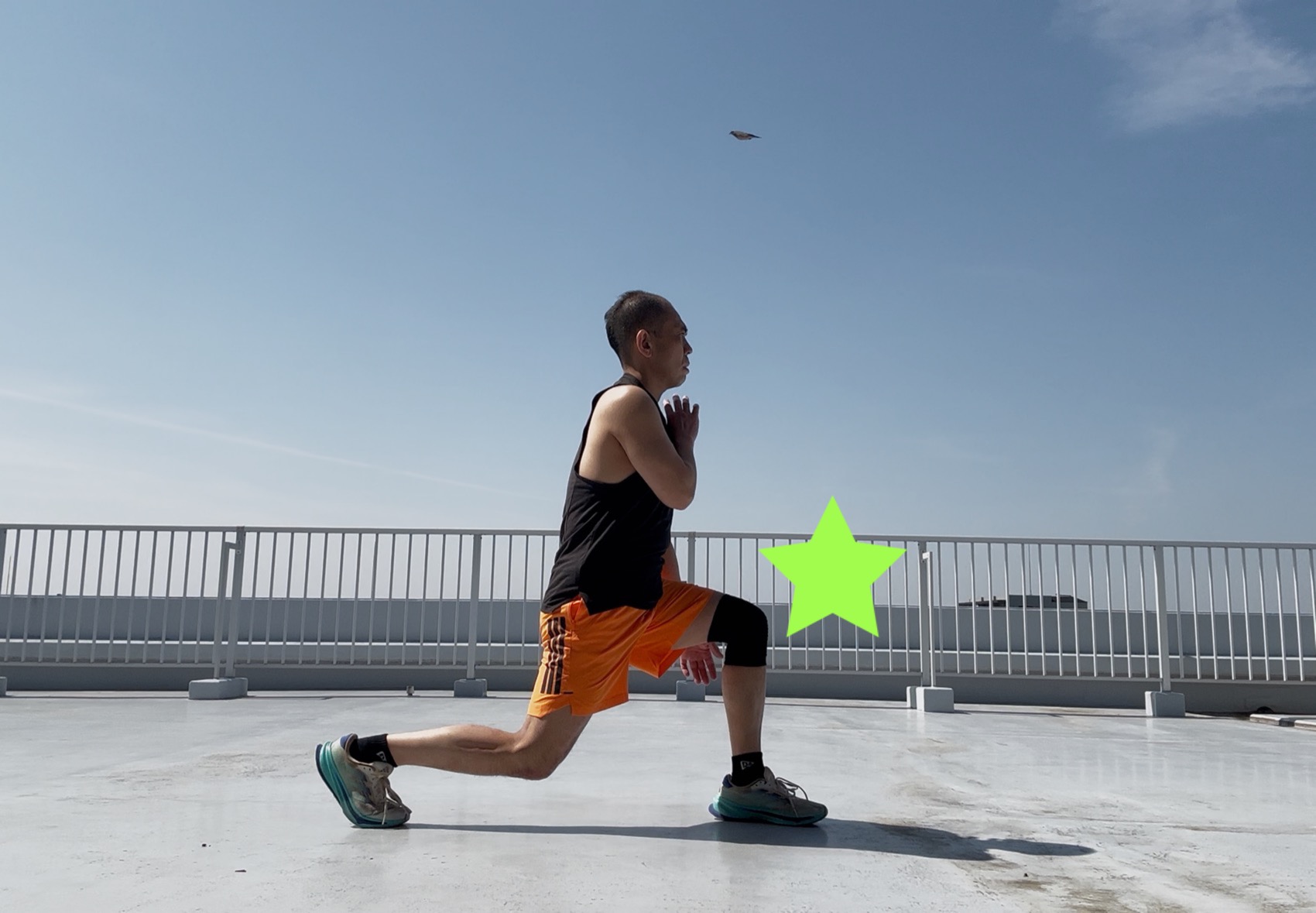 �{�f�B�R���o�b�g106-6,�R���o�b�g3,�R���I,�e�N�j�b�N,�|�C���g